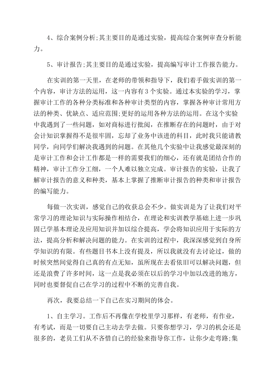 审计实习生工作总结范文_第2页