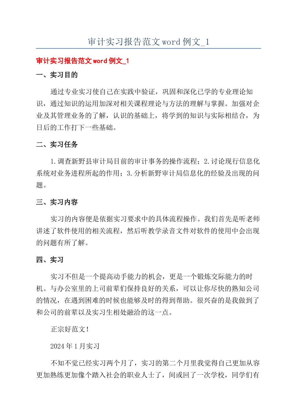 审计实习报告范文word例文-1_第1页
