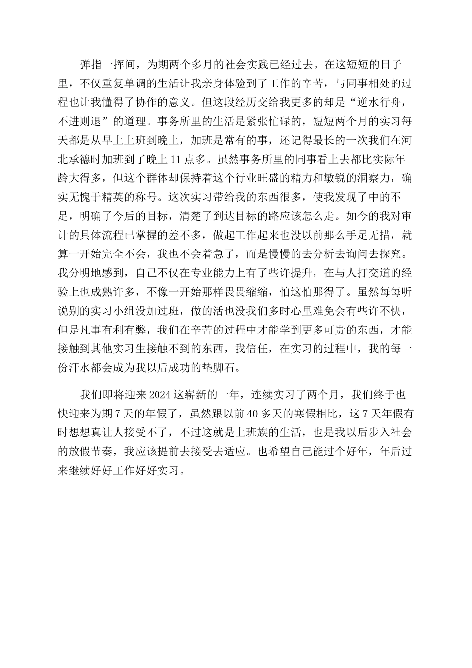 审计实习报告范文word例文-1_第3页