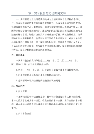 审计实习报告范文优秀例文字