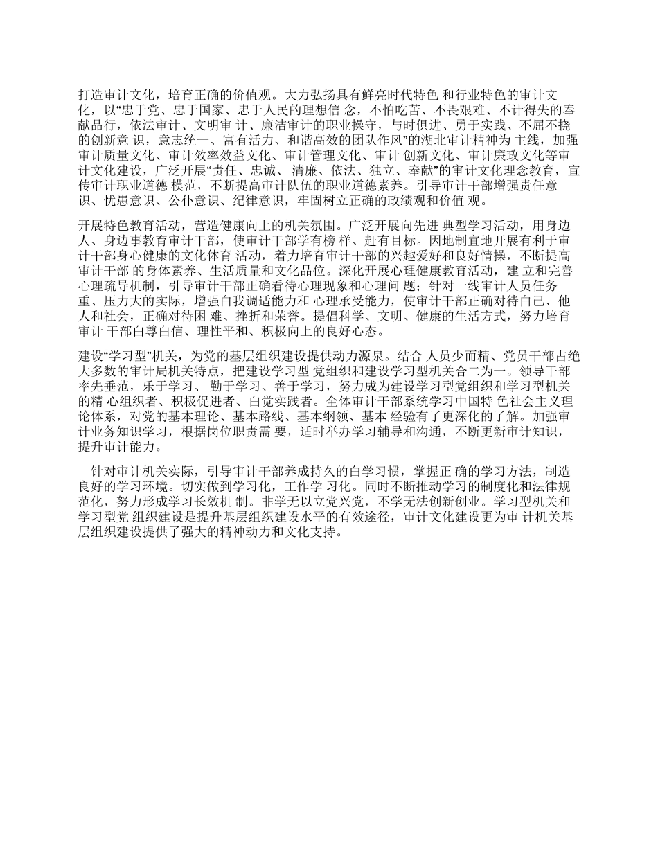 审计局基层建设学习材料_第1页