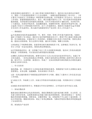 审计工作自我评价