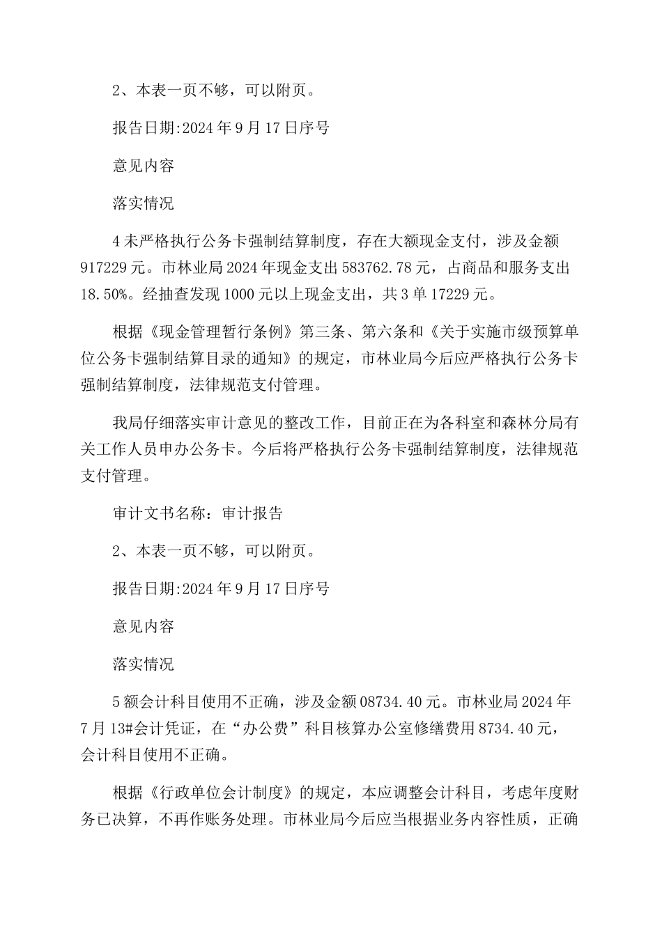 审计意见整改落实情况报告范文表_第3页