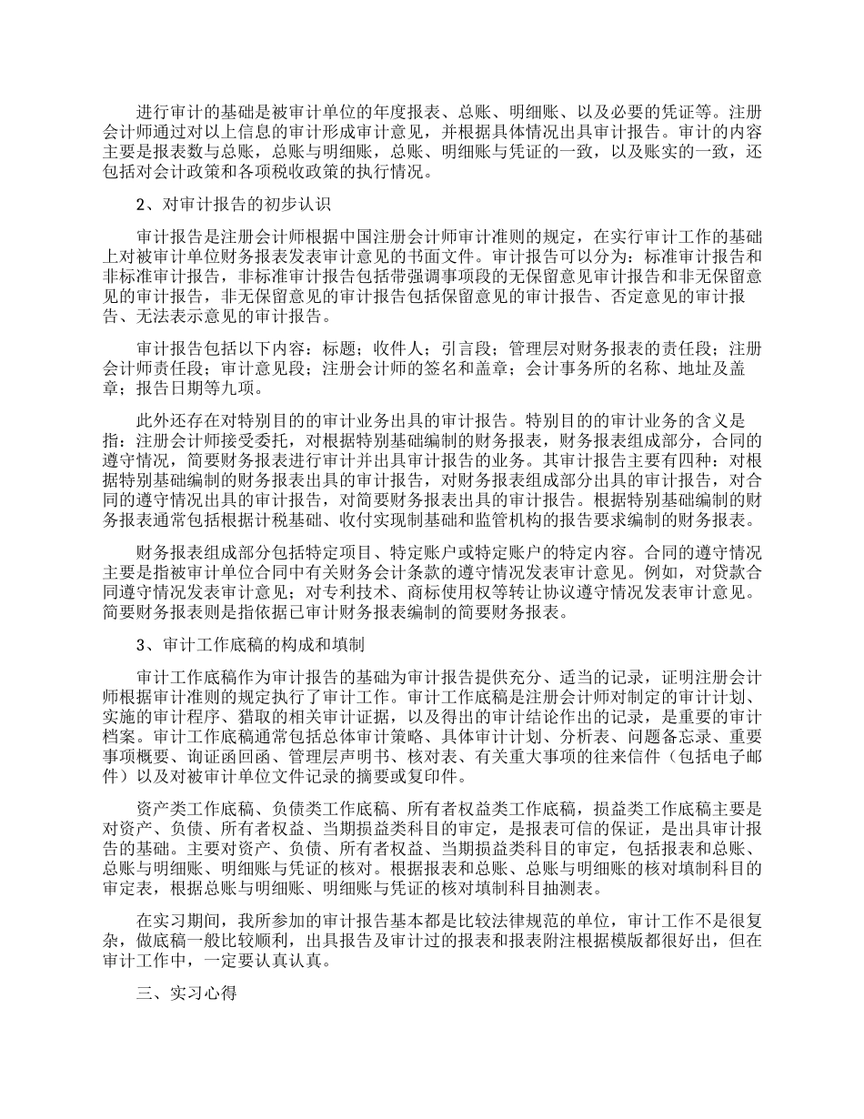 审计顶岗实习报告模板三篇_第3页