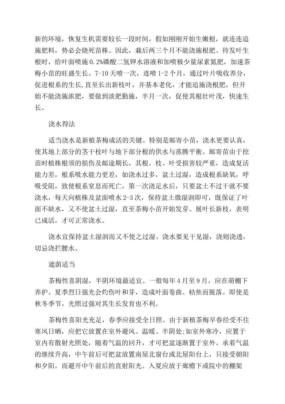 家庭盆栽茶梅的正确种植方法有哪些_第2页