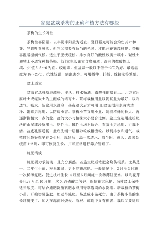 家庭盆栽茶梅的正确种植方法有哪些