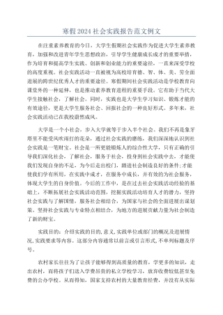 寒假2024社会实践报告范文例文