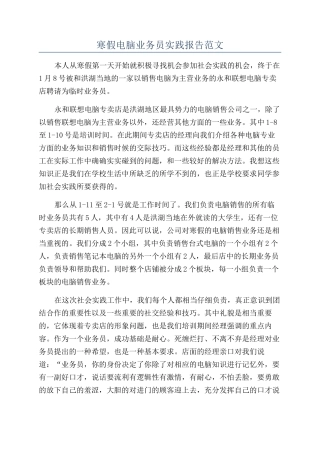 寒假电脑业务员实践报告范文