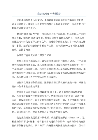 寒武纪的“大爆发