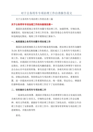 对于公务用车专项治理工作自查报告范文