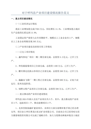 对于呼玛县产业项目建设情况报告范文
