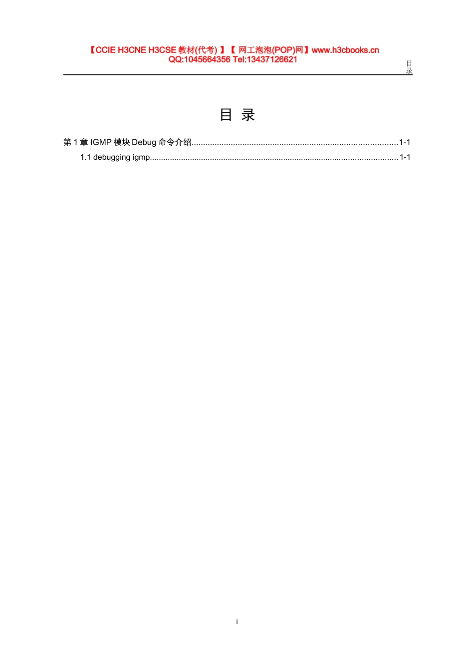 IGMP模块Debug命令（金炜）_第1页