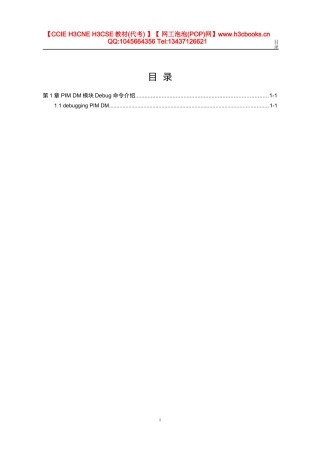 PIM DM模块Debug命令（金炜）