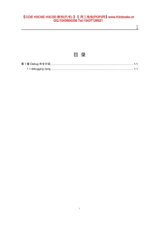 Ripng模块Debug命令详解（金炜）