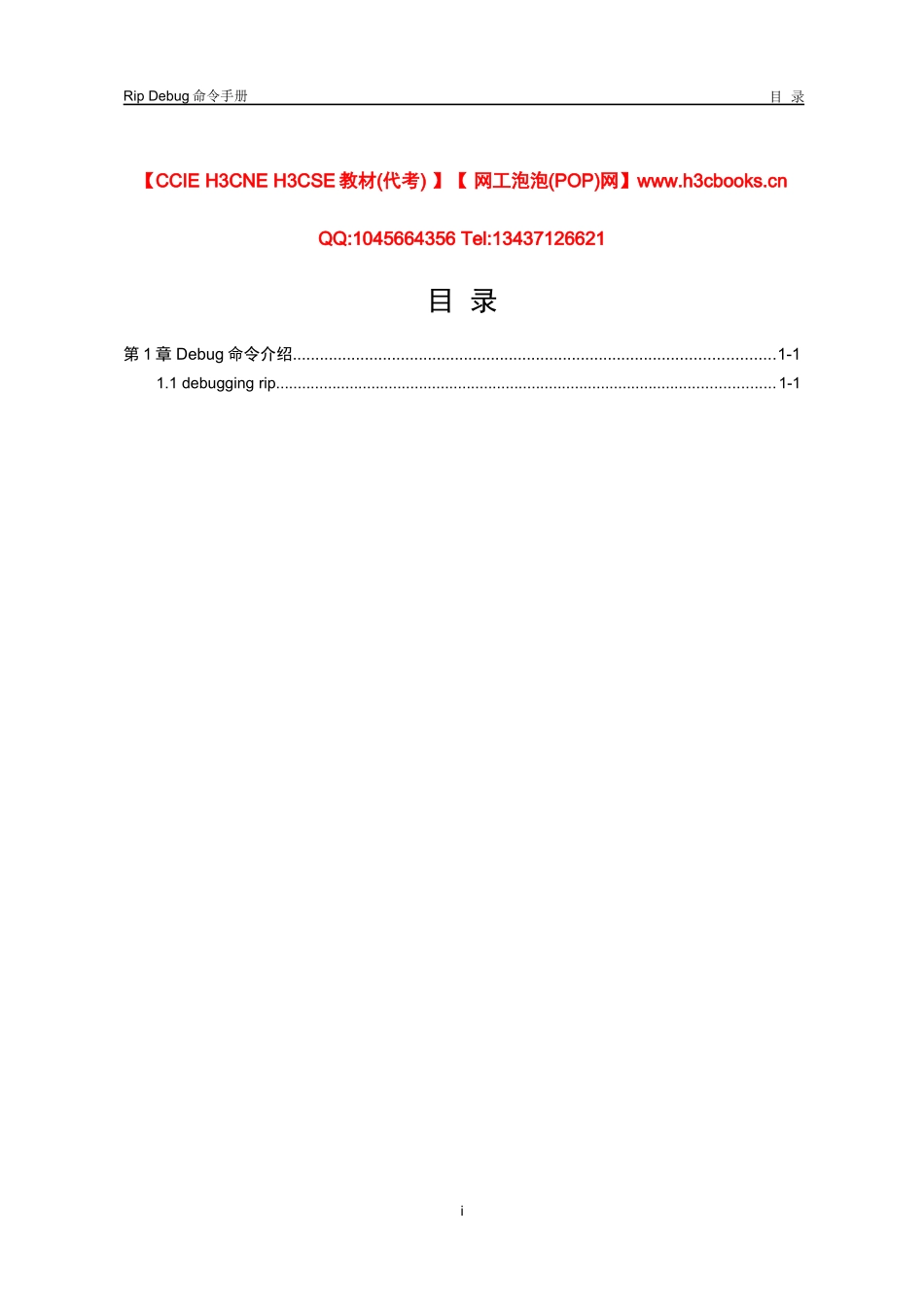 Rip模块Debug命令详解_第1页