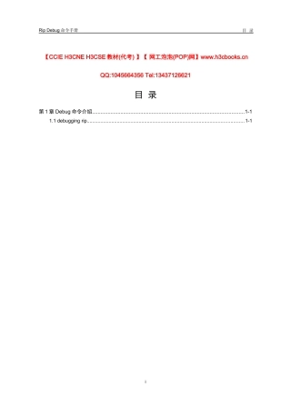 Rip模块Debug命令详解