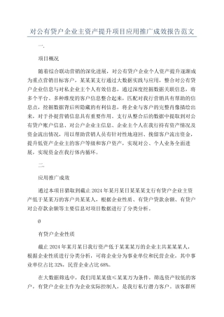 对公有贷户企业主资产提升项目应用推广成效报告范文