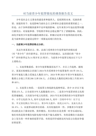 对当前青少年犯罪情况的调查报告范文