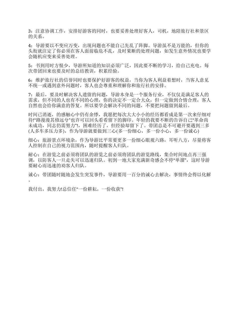 导游工作年终总结工作报告_第2页