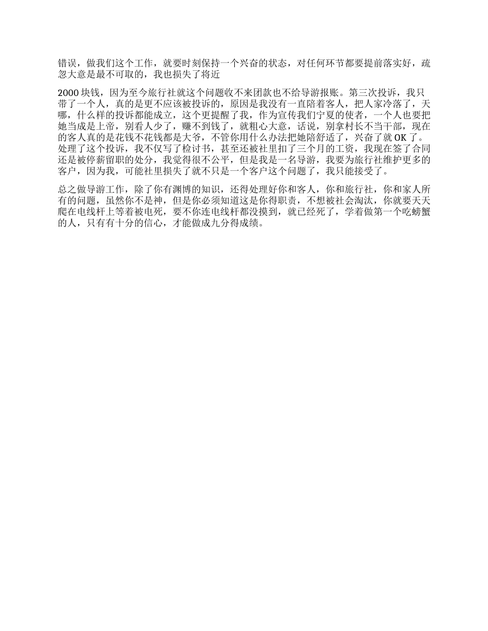 导游年终总结范文_第2页