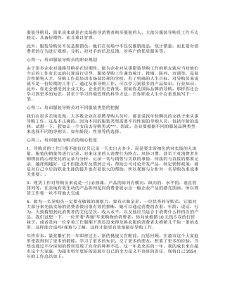 导购员个人工作总结