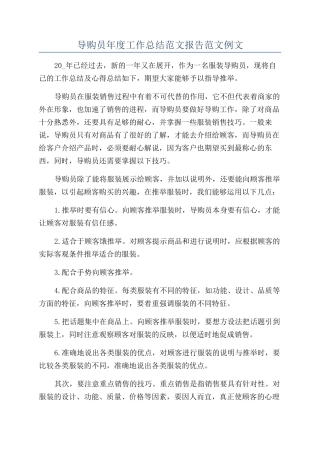 导购员年度工作总结范文报告范文例文