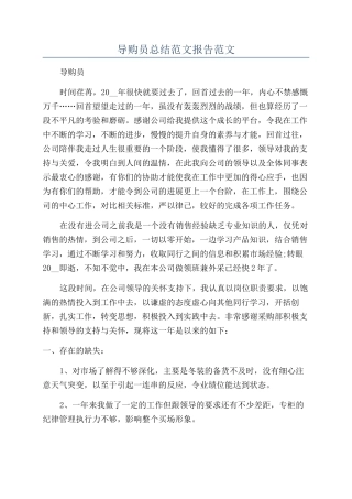 导购员总结范文报告范文