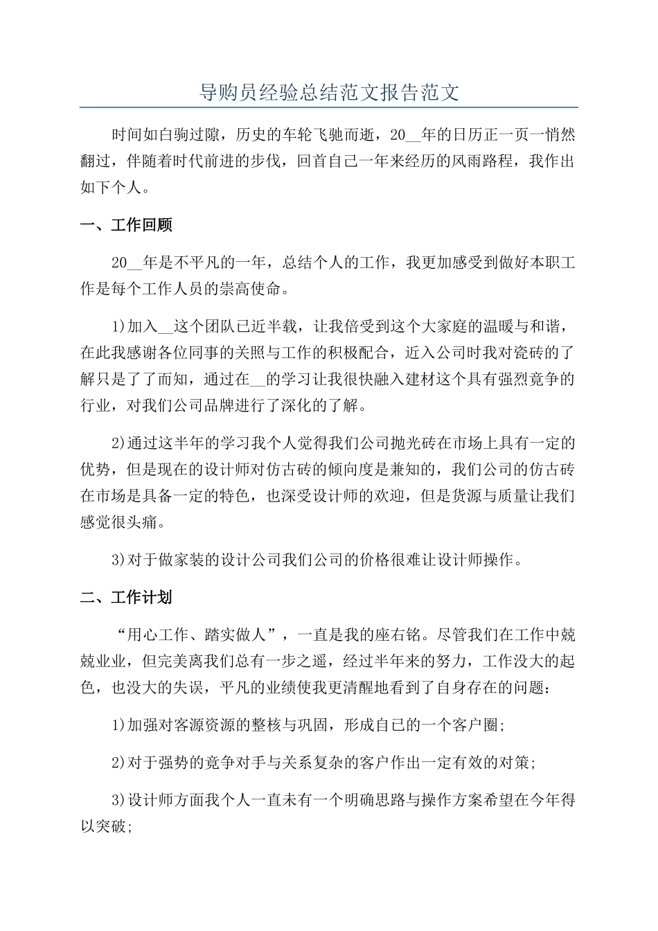 导购员经验总结范文报告范文_第1页