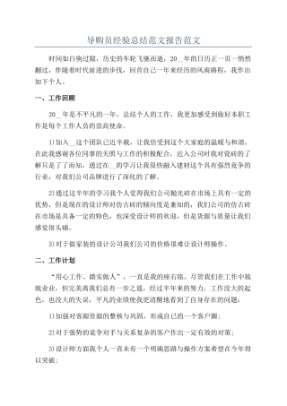 导购员经验总结范文报告范文