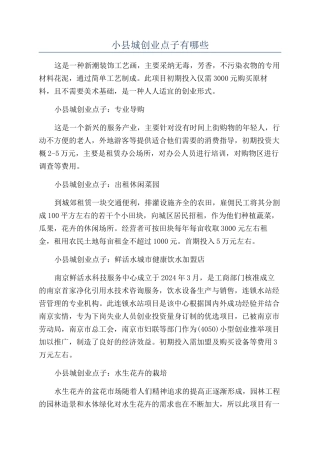 小县城创业点子有哪些
