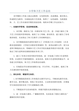 小学体卫艺工作总结