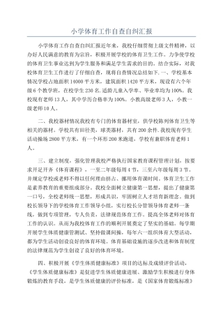 小学体育工作自查自纠汇报