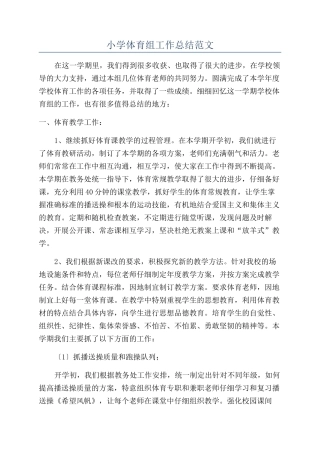 小学体育组工作总结范文