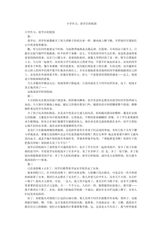 小学作文放学后的校园