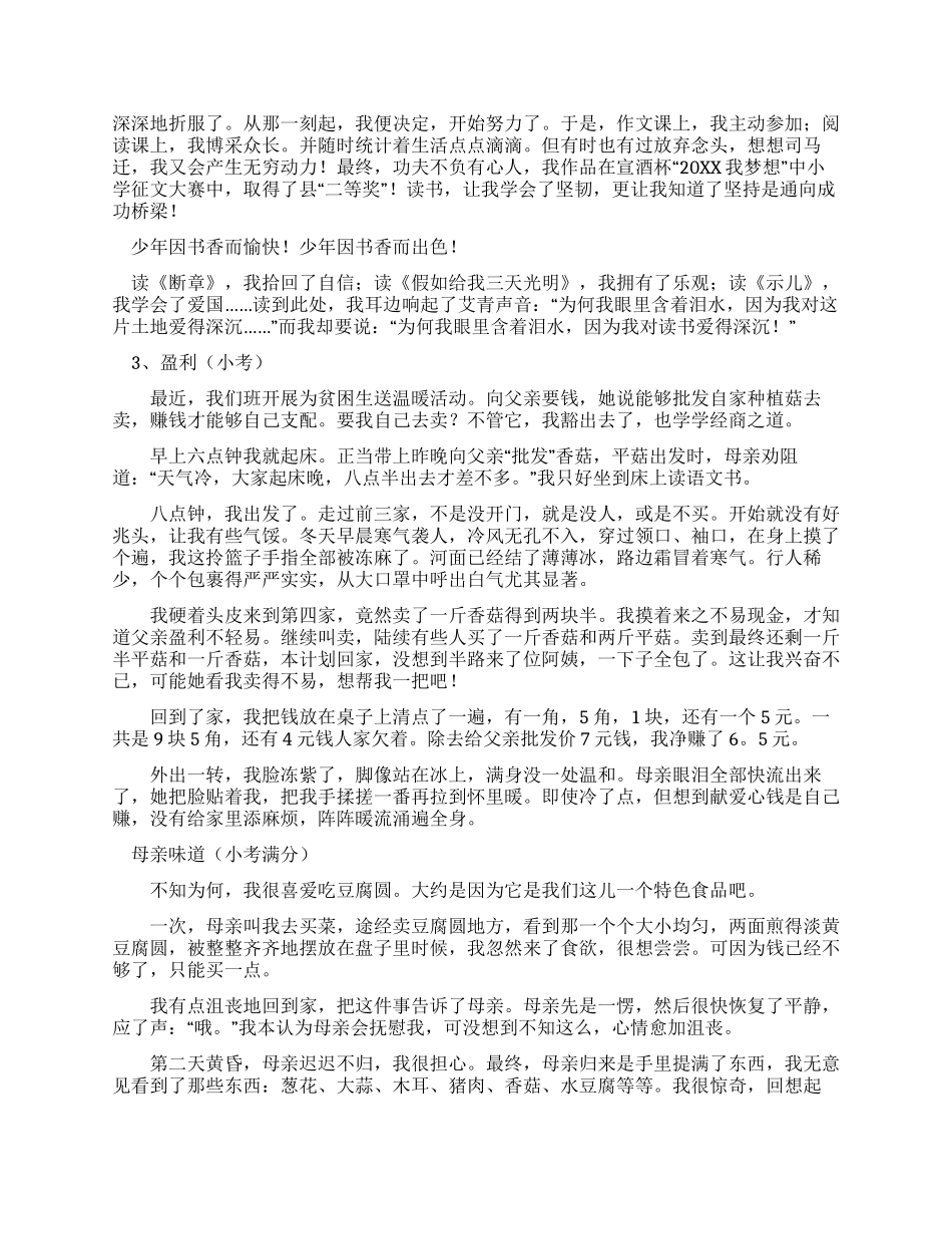 小学作文统一标准及小考满分作文例文_第3页