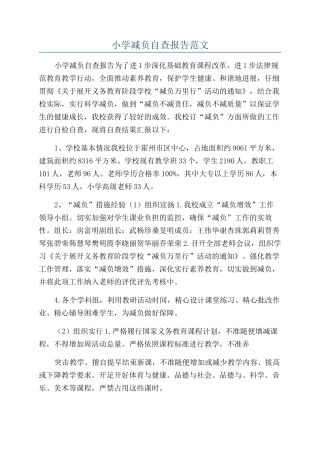 小学减负自查报告范文