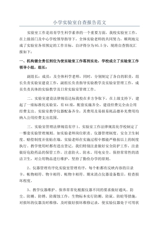 小学实验室自查报告范文