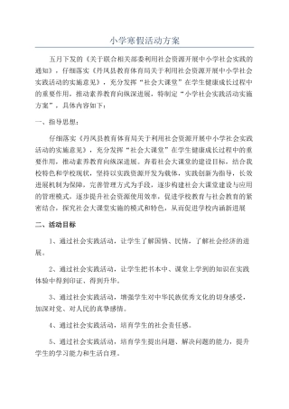 小学寒假活动方案