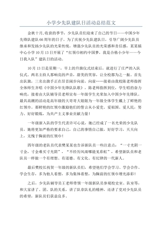 小学少先队建队日活动总结范文