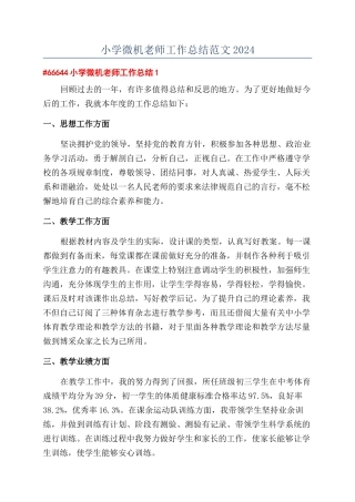 小学微机老师工作总结范文2024