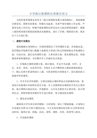 小学执行新课程自查报告范文