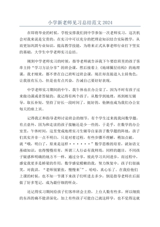 小学新教师见习总结范文2024