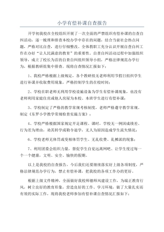 小学有偿补课自查报告