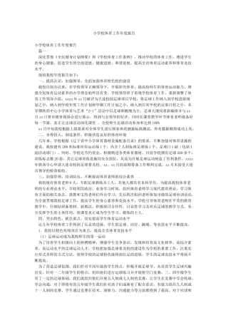 小学校体育工作年度报告