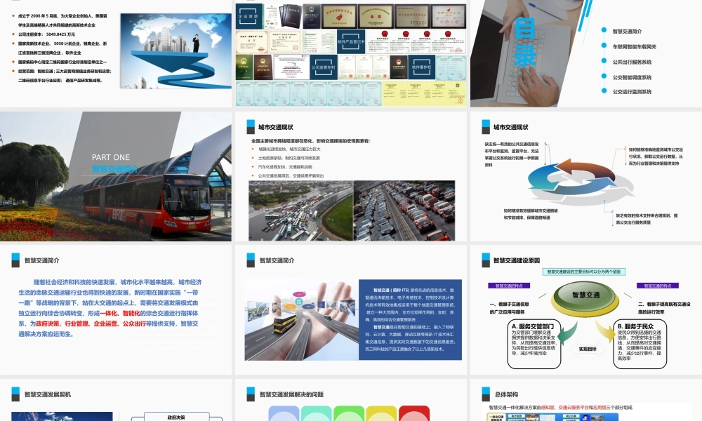 智慧交通-浙江三网科技股份有限公司 20170418