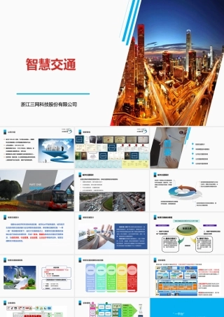 智慧交通-浙江三网科技股份有限公司 20170418