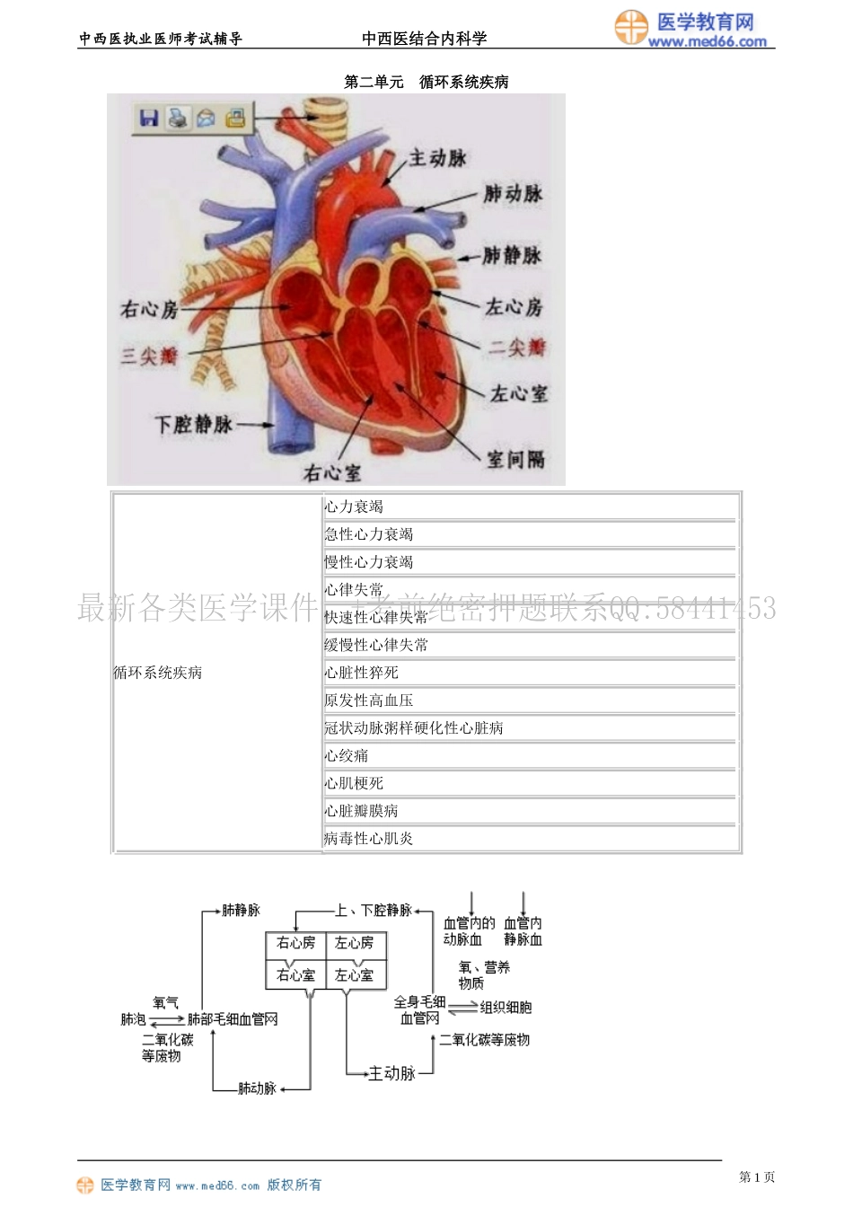 执业医师-第二单元　循环系统疾病_第1页