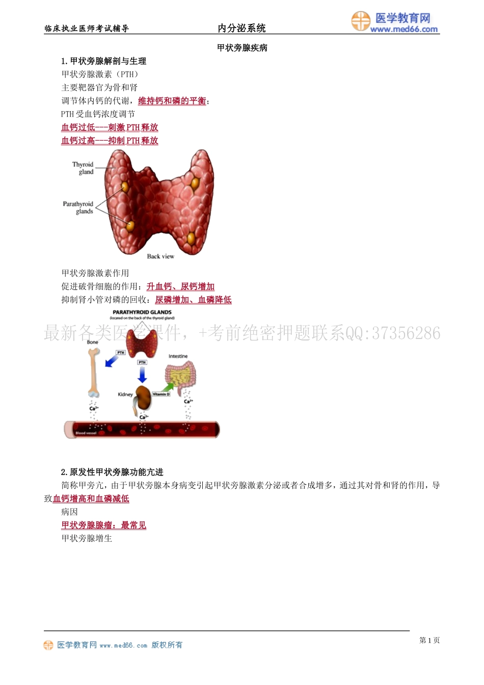 执业医师-甲状旁腺疾病_第1页