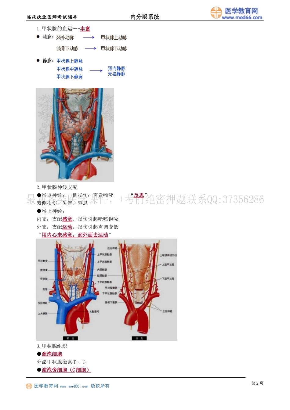 执业医师-甲状腺疾病_第2页