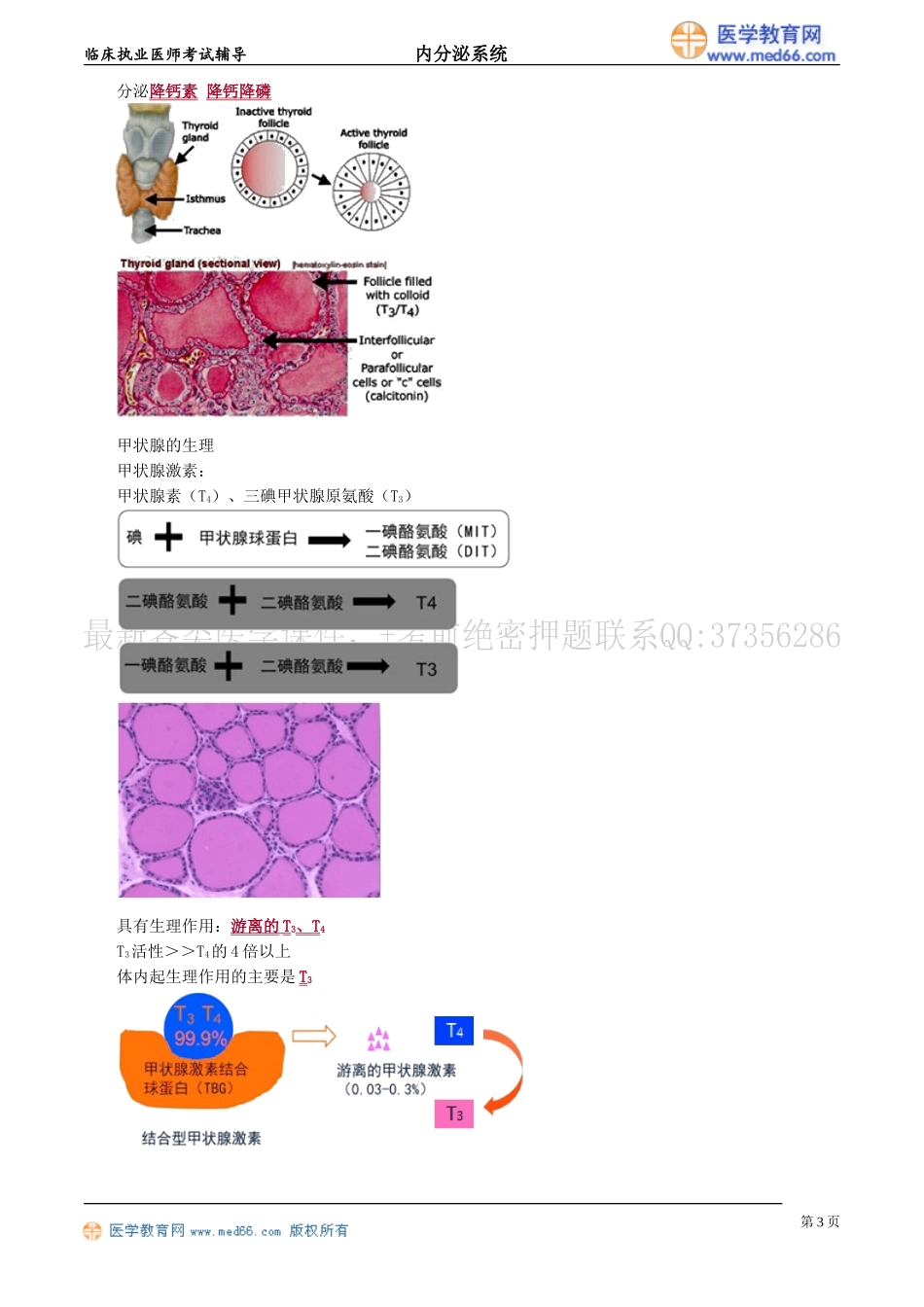 执业医师-甲状腺疾病_第3页